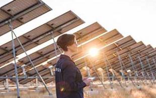 Woman in paddock of solar panels
