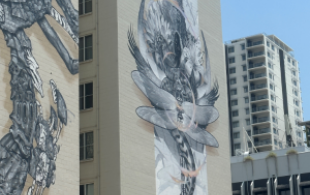 2022 Australian Street Art Award winning mural ‘Sanctum’ – Darwin city.